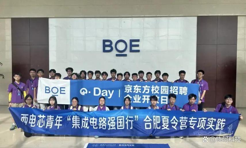 合肥新站把西电集成电路学生请进工厂 拼的早已不是项目，而是产业生态